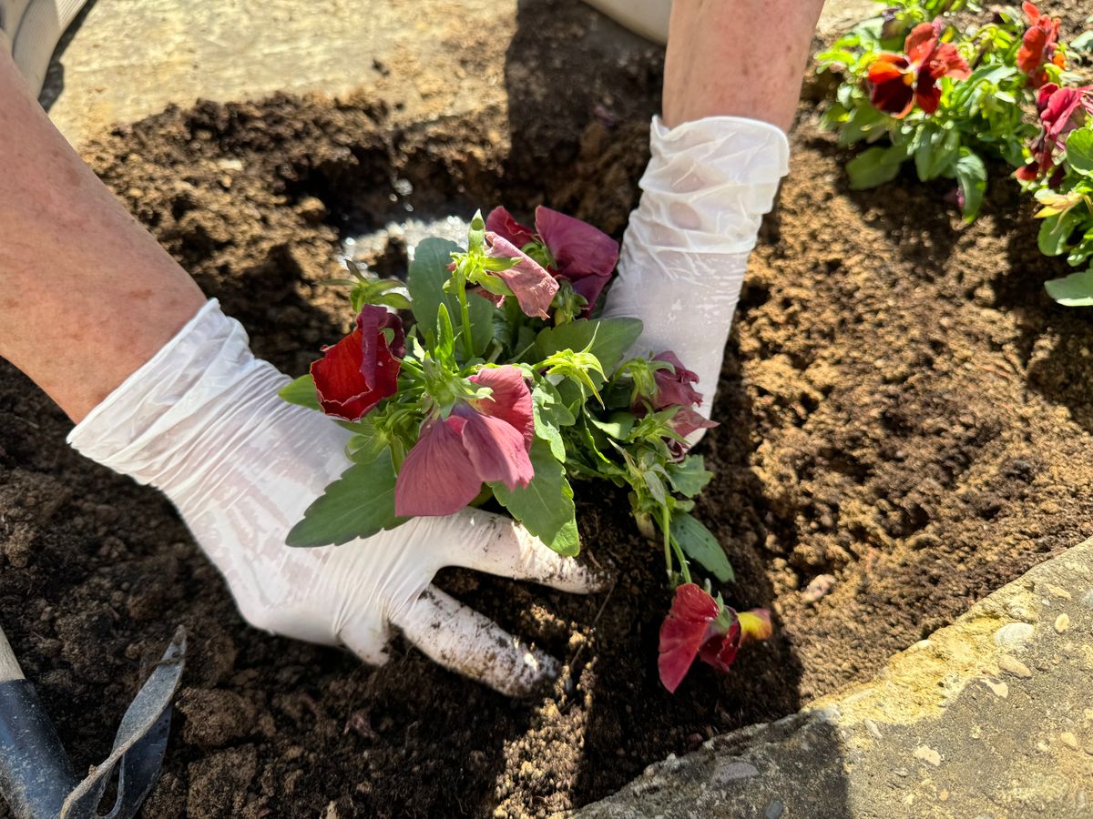 Landscaping professional at work